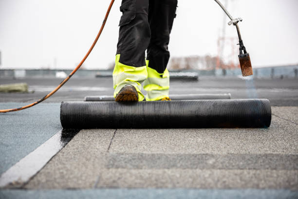 Best Roof Insulation Installation  in Dock Junction, GA